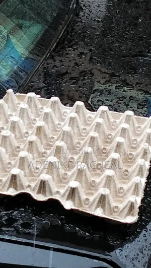 Water Resistant Paper Egg Crate
