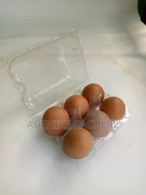 By 6 Transparent Egg Crates