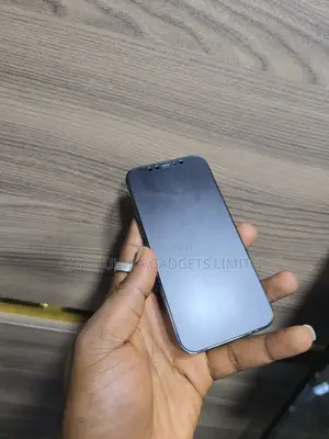 Apple iPhone 12 Pro 256 GB Blue