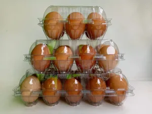 By 24 Transparent Egg Case