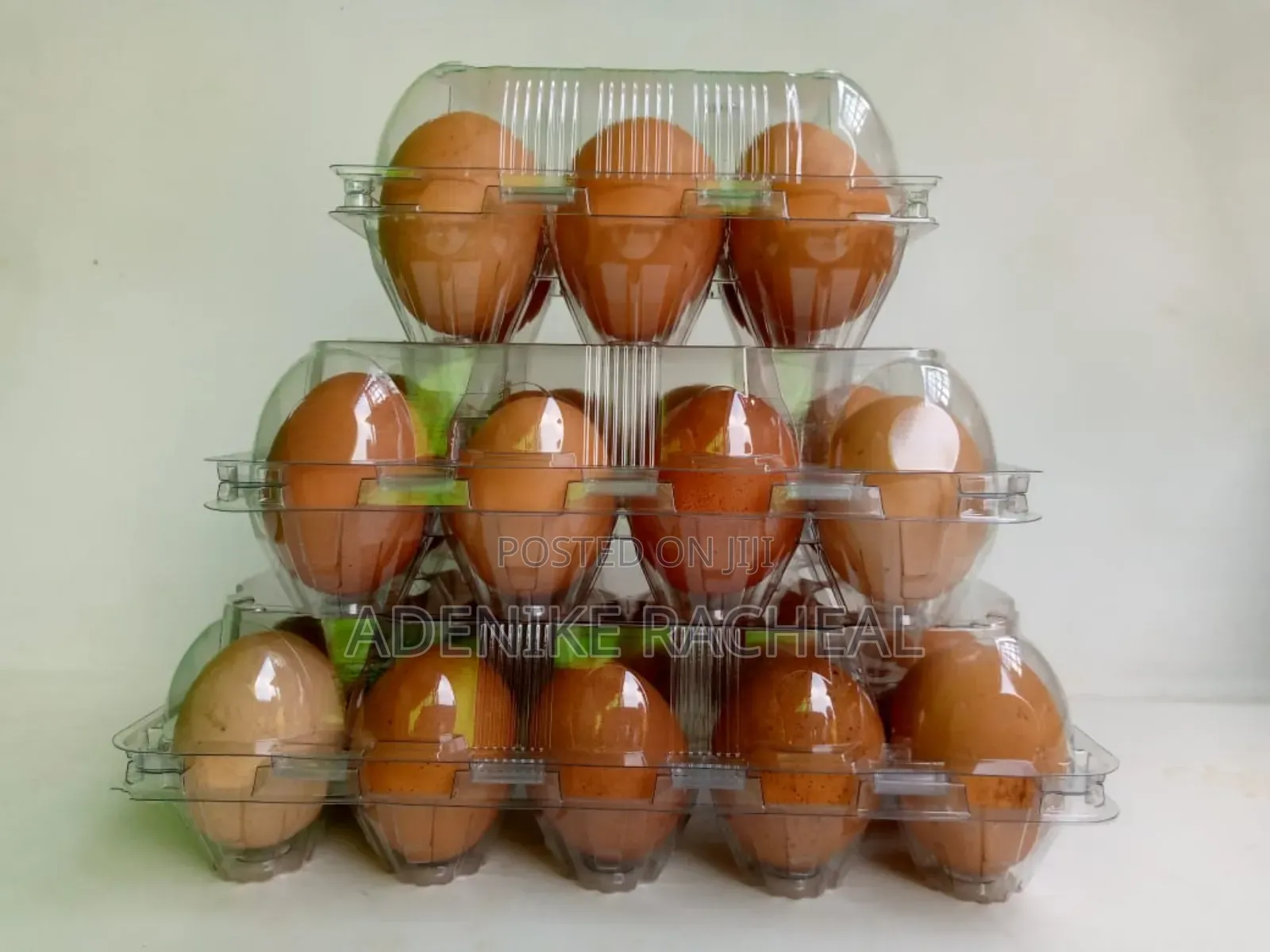 By 24 Transparent Egg Case
