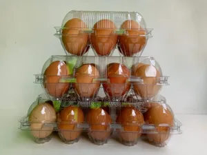 By 24 Transparent Egg Case