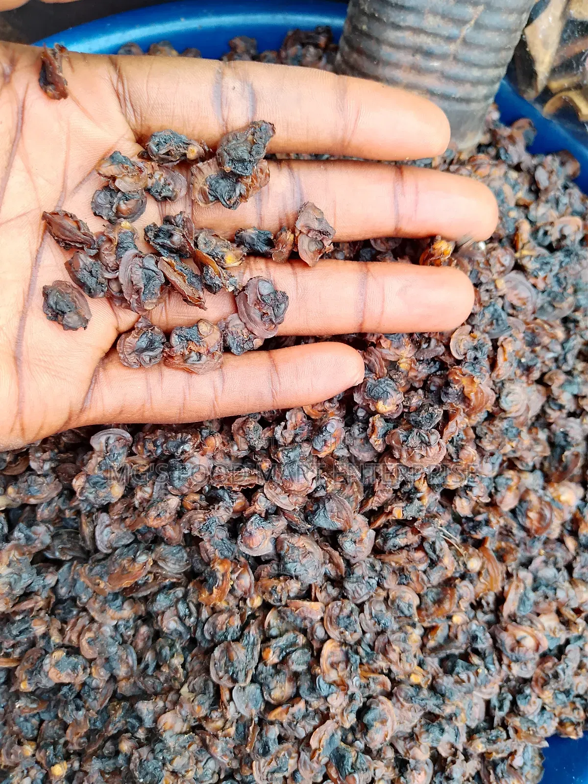 Dried Ofingo