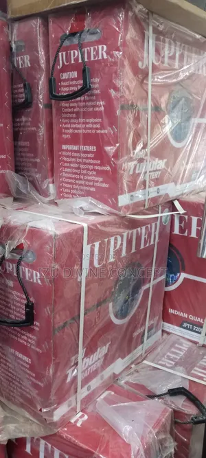 Jupiter Tall Tubular Battery