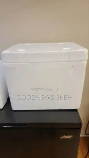 30liters of Styrofoam Box.