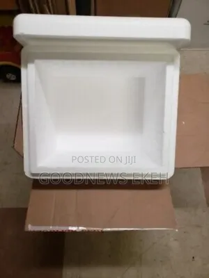 Small Size of Styrofoam Box.