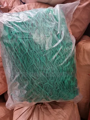 Gangway Net