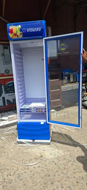 New Snowsea 400l Display Chiller Single Door for Business