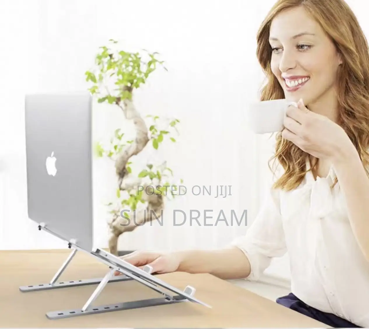 Metal Adjustable Laptop Stand