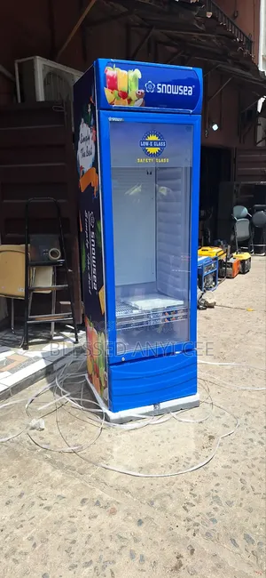 New Snowsea Display Chiller Fridge(400l) Super Freezing 130w
