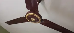 Photo - Giant 56 Fan
