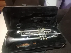 Photo - Silver Trumpet