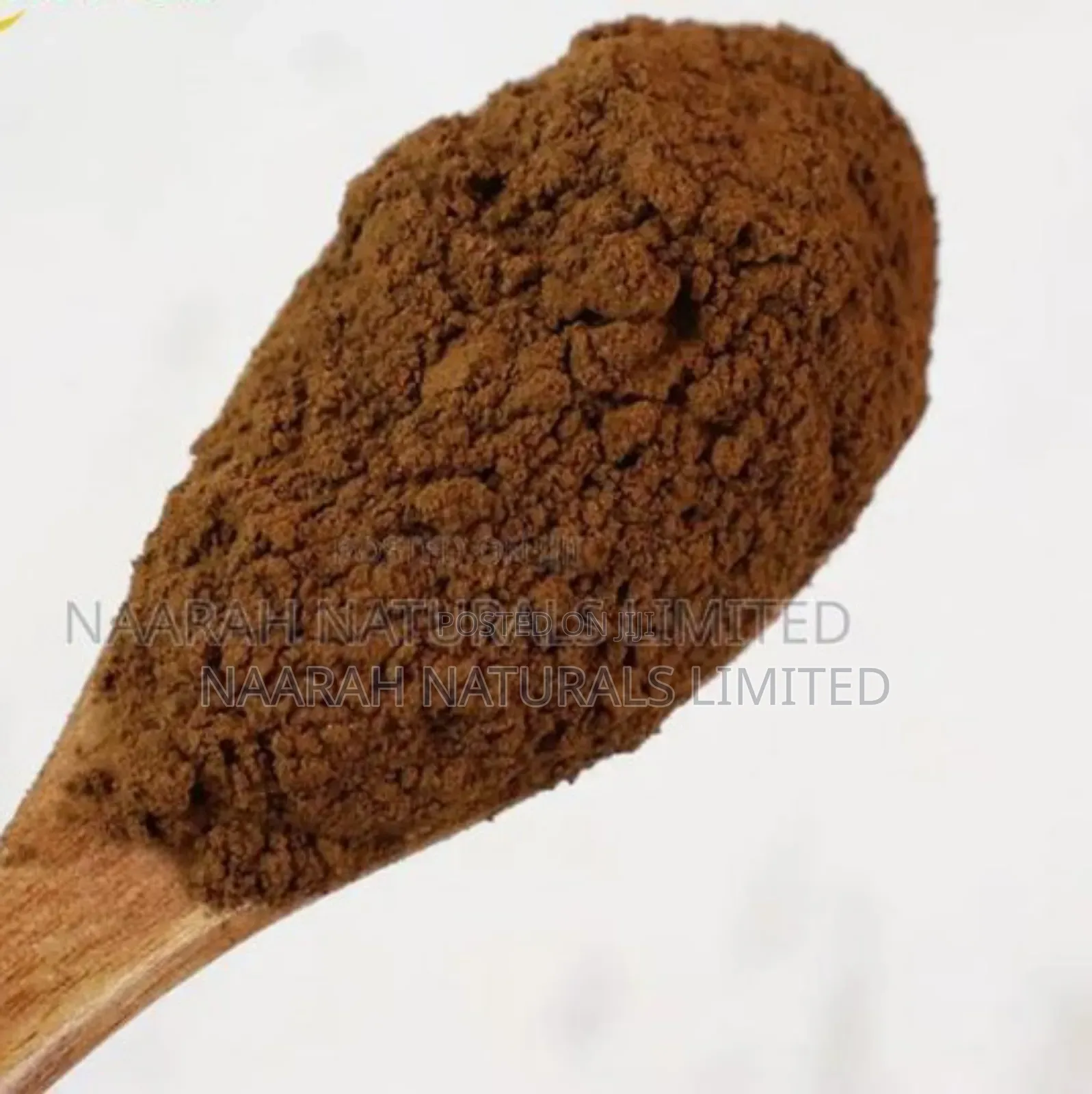 Reishi Extract Powder - 259g