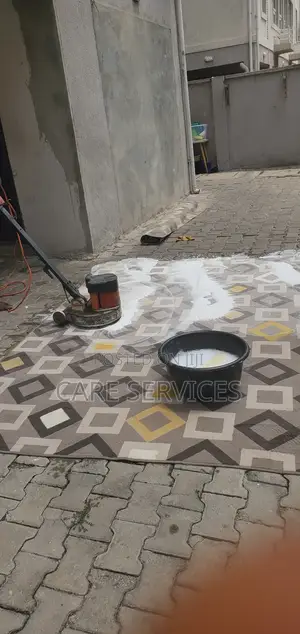 Professional Rug/Carpet Cleaning