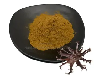 Devil's Claw Extract Powder - 250g