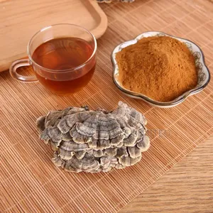 Turkey Tail Extract Powder - 250g