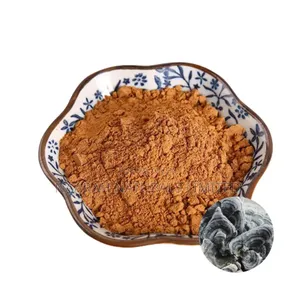 Turkey Tail Extract Powder - 250g