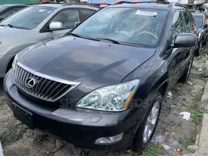 Lexus RX 350 2009 Gray