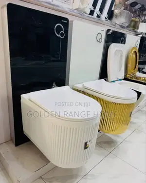 Glass Tank Surface Hung Watercloset Visible Cistern