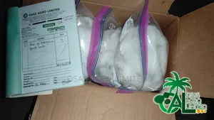High Yield Supergene Sprouted Oil Palm Seeds