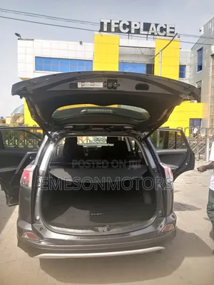 Toyota RAV4 XLE AWD (2.5L 4cyl 6A) 2016 Gray