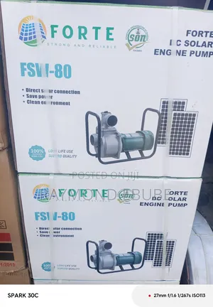 Forte Water Solar Pump