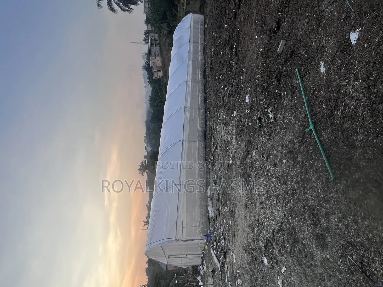 Greenhouse Construction