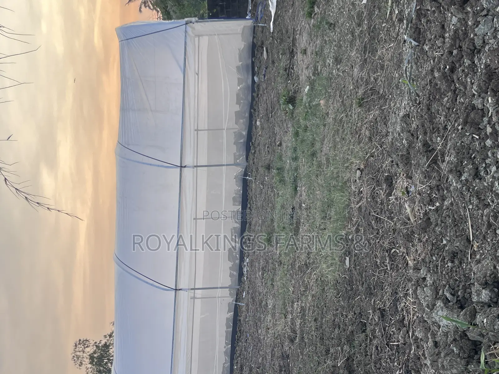 Greenhouse Construction