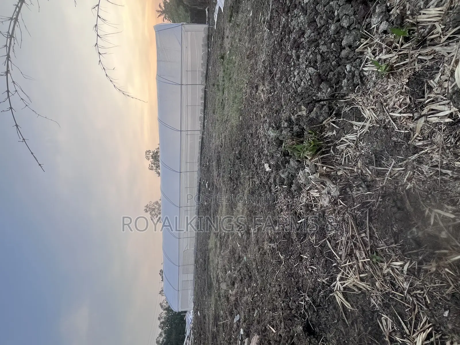 Greenhouse Construction