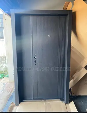 High Quality Black Steel Door (Tq308d