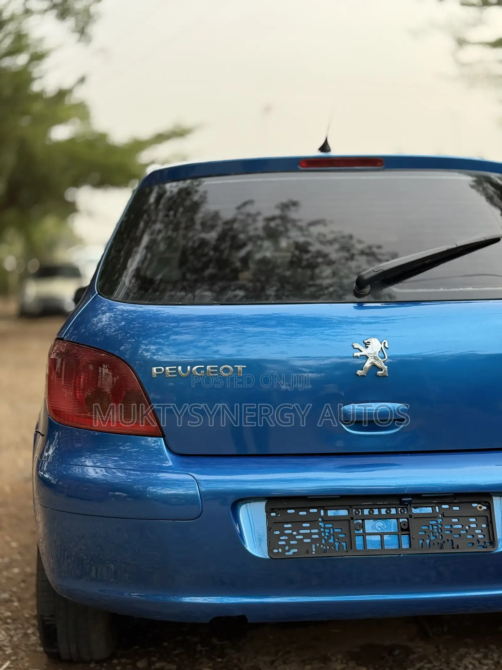 Peugeot 307 2008 Blue