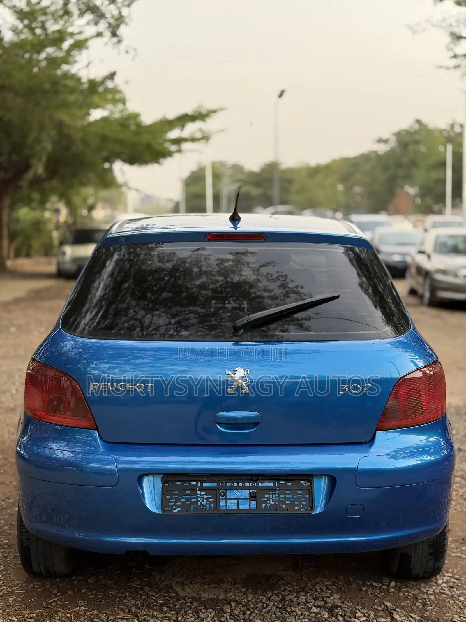 Peugeot 307 2008 Blue