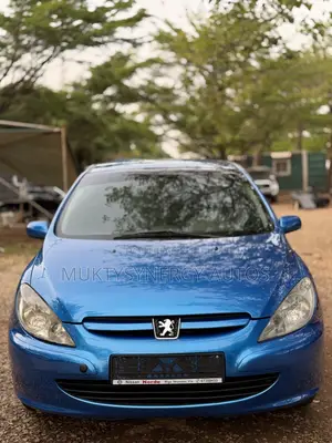 Peugeot 307 2008 Blue