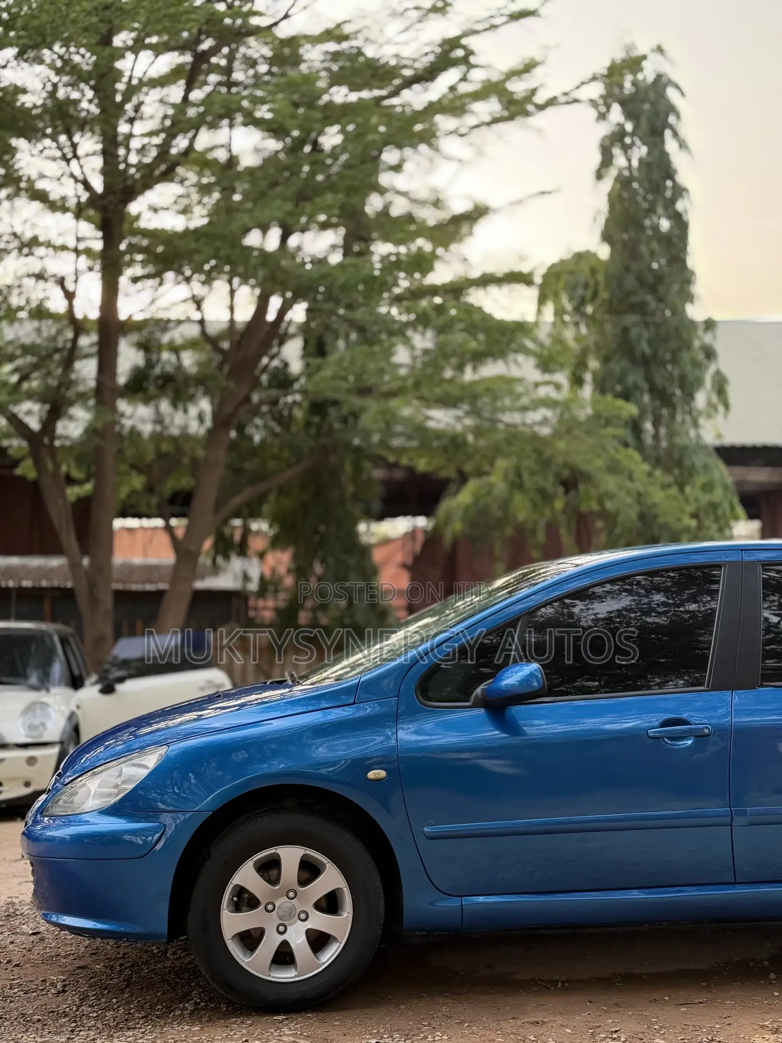 Peugeot 307 2008 Blue