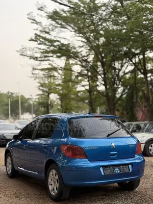 Peugeot 307 2008 Blue
