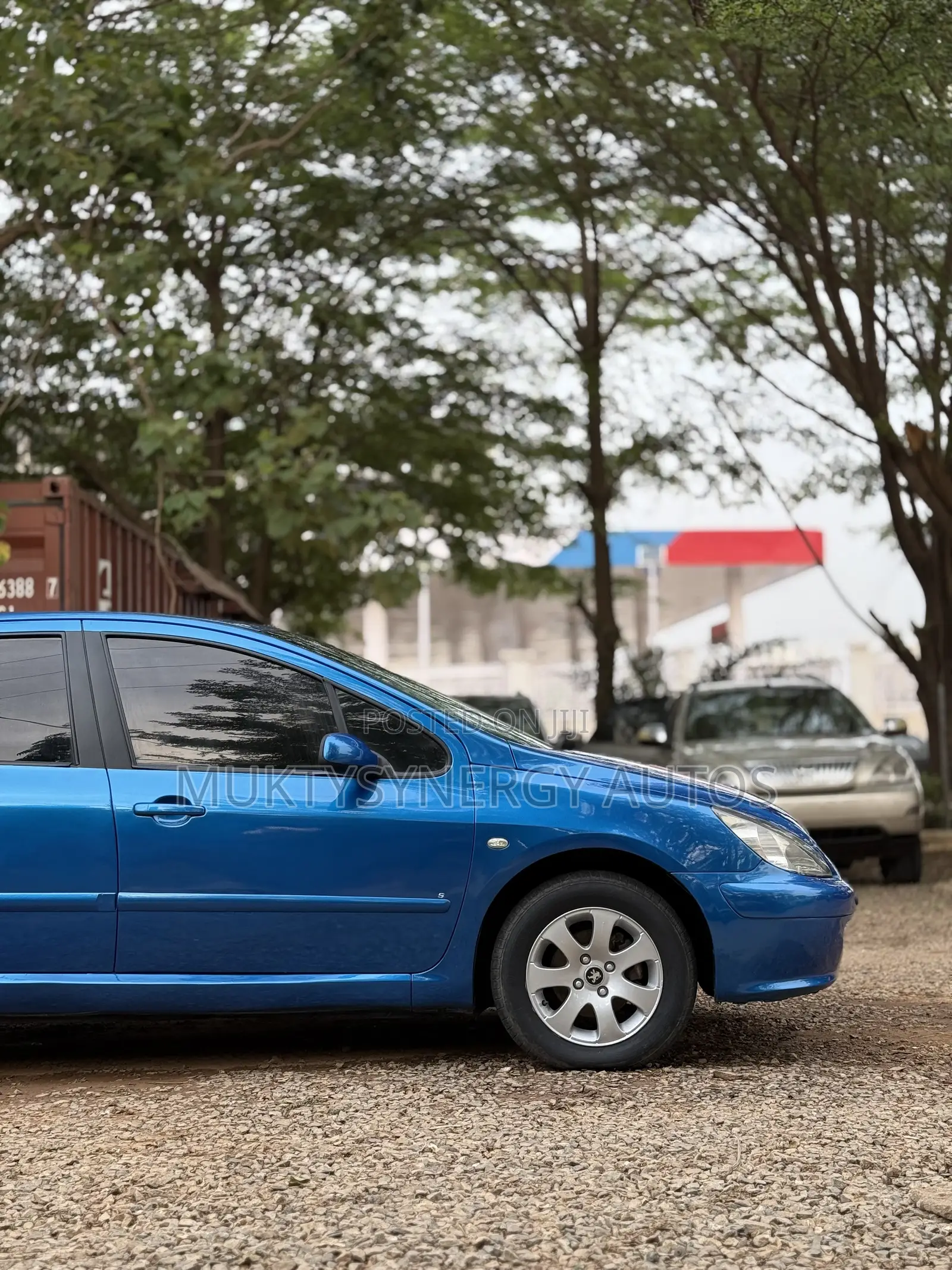Peugeot 307 2008 Blue