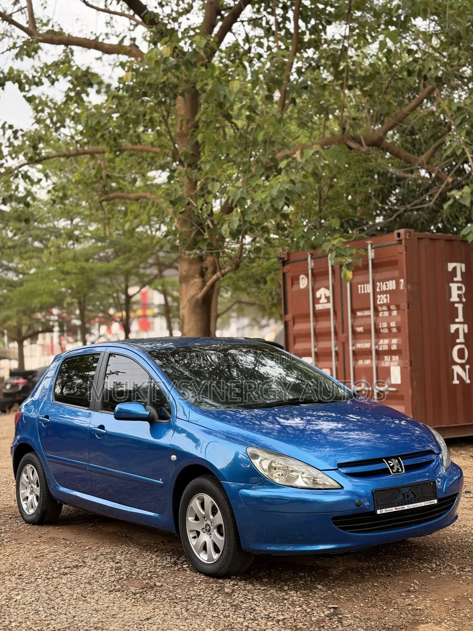 Peugeot 307 2008 Blue