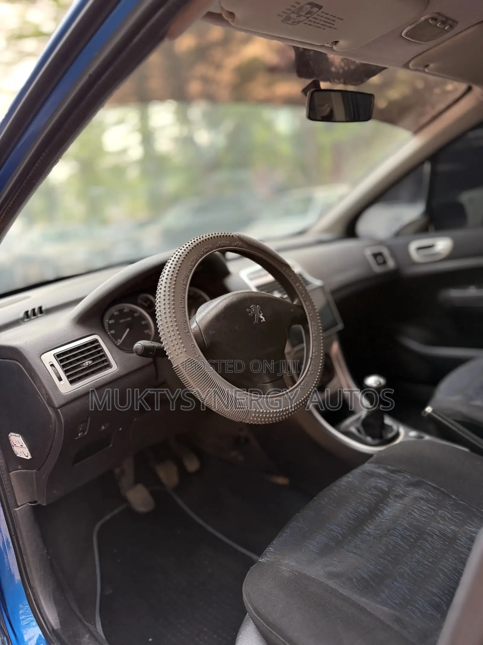 Peugeot 307 2008 Blue