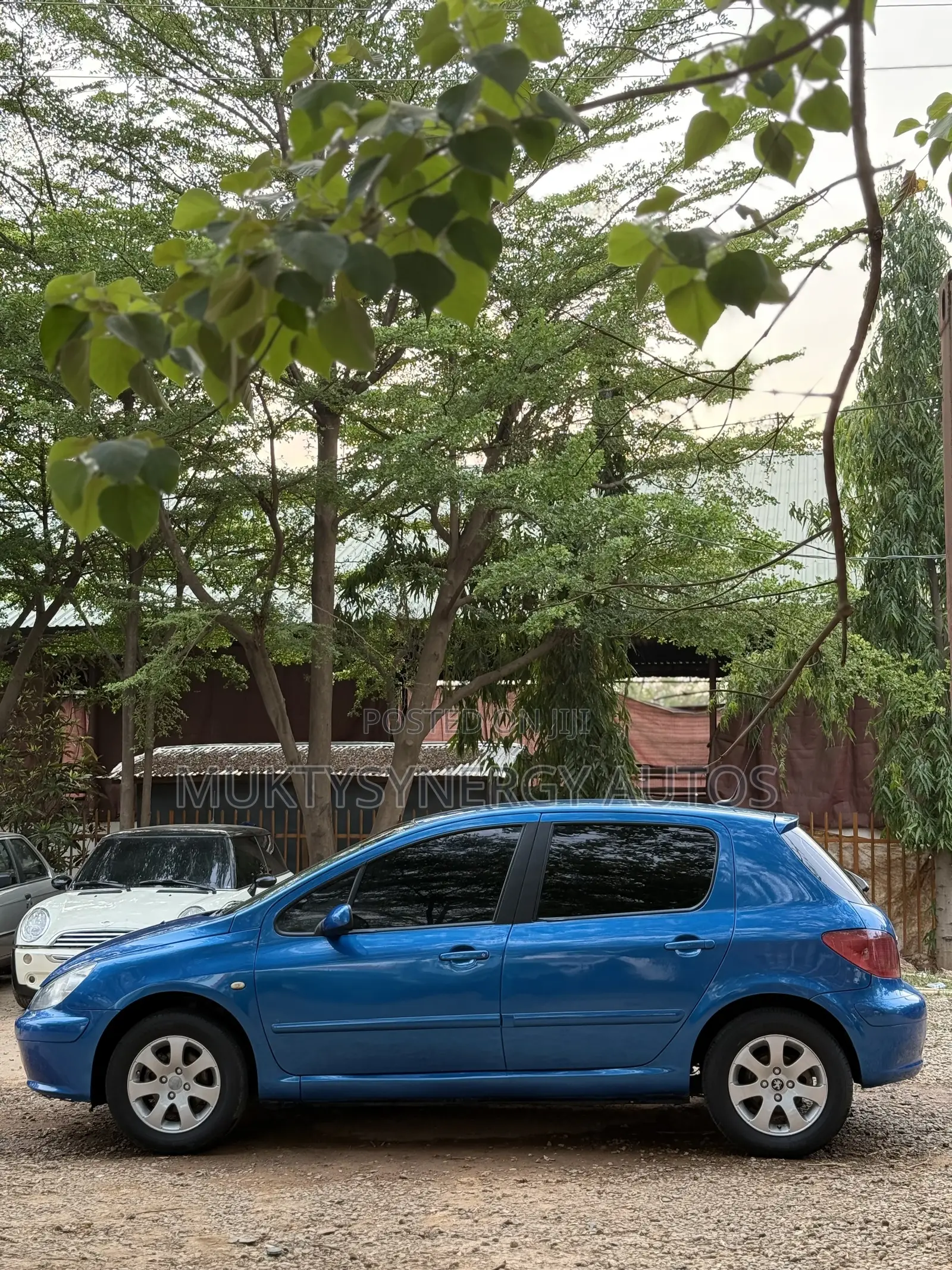 Peugeot 307 2008 Blue