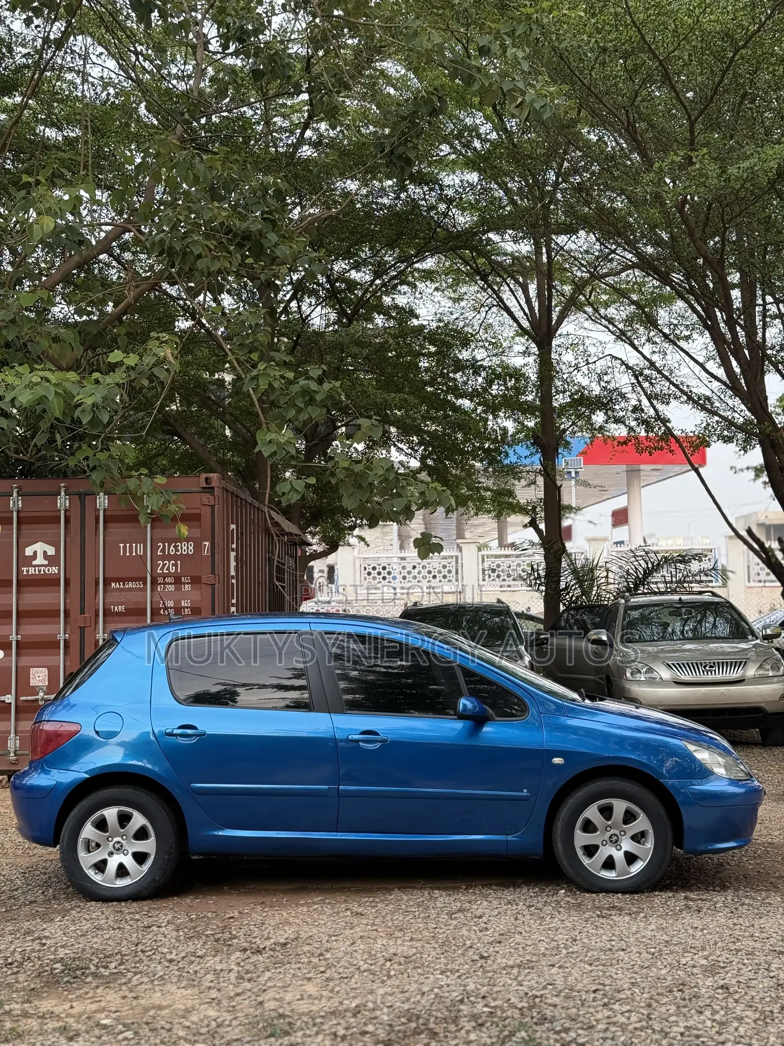 Peugeot 307 2008 Blue