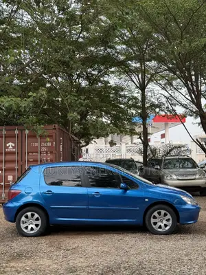 Peugeot 307 2008 Blue