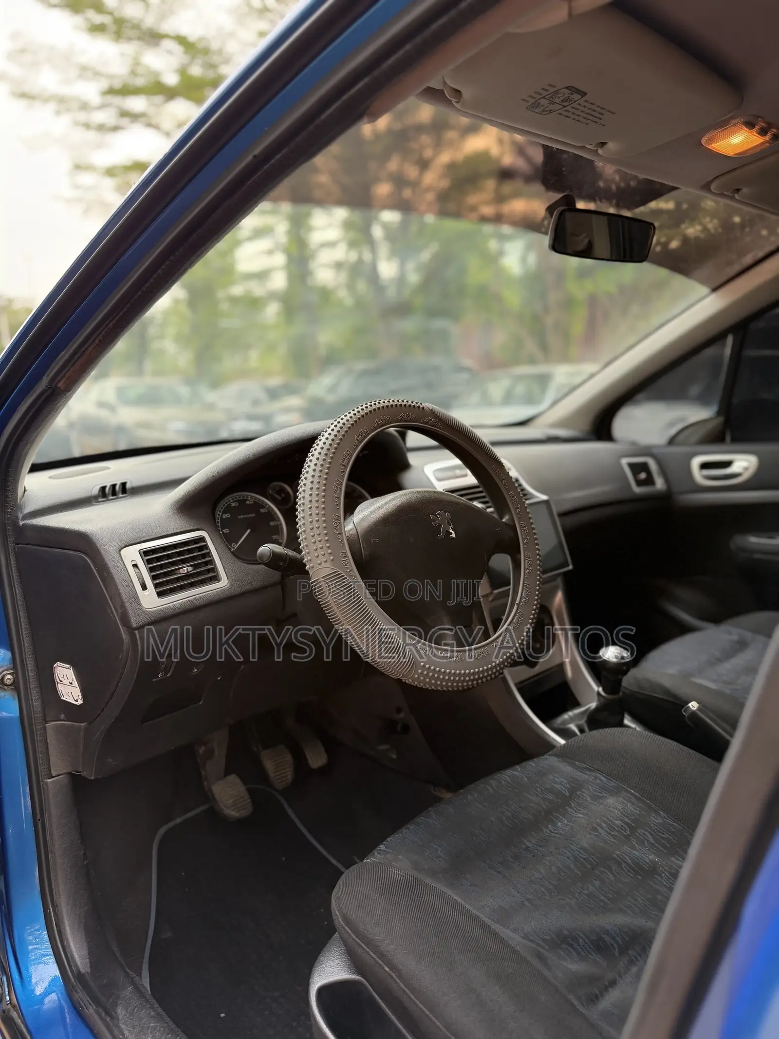 Peugeot 307 2008 Blue
