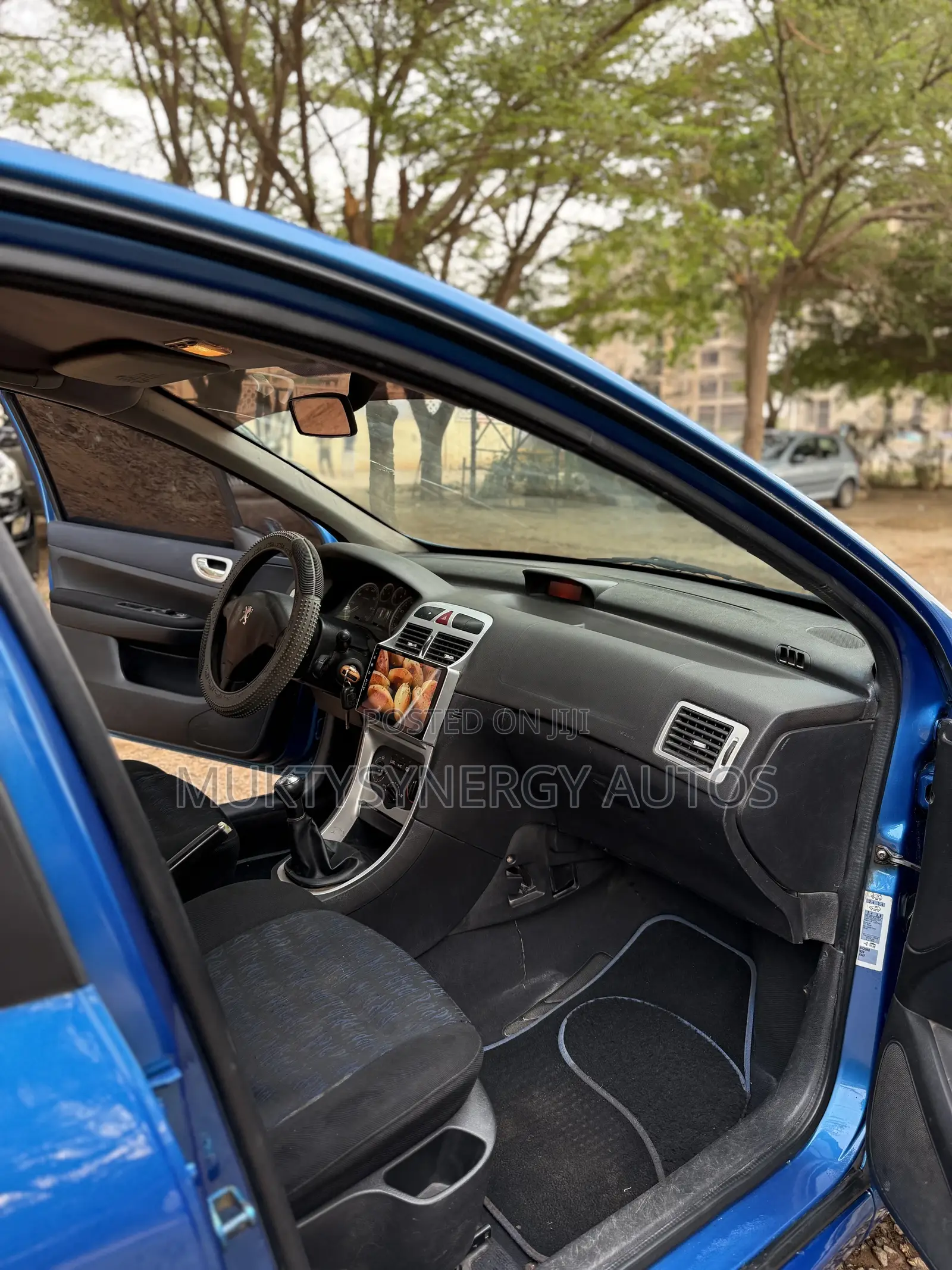 Peugeot 307 2008 Blue