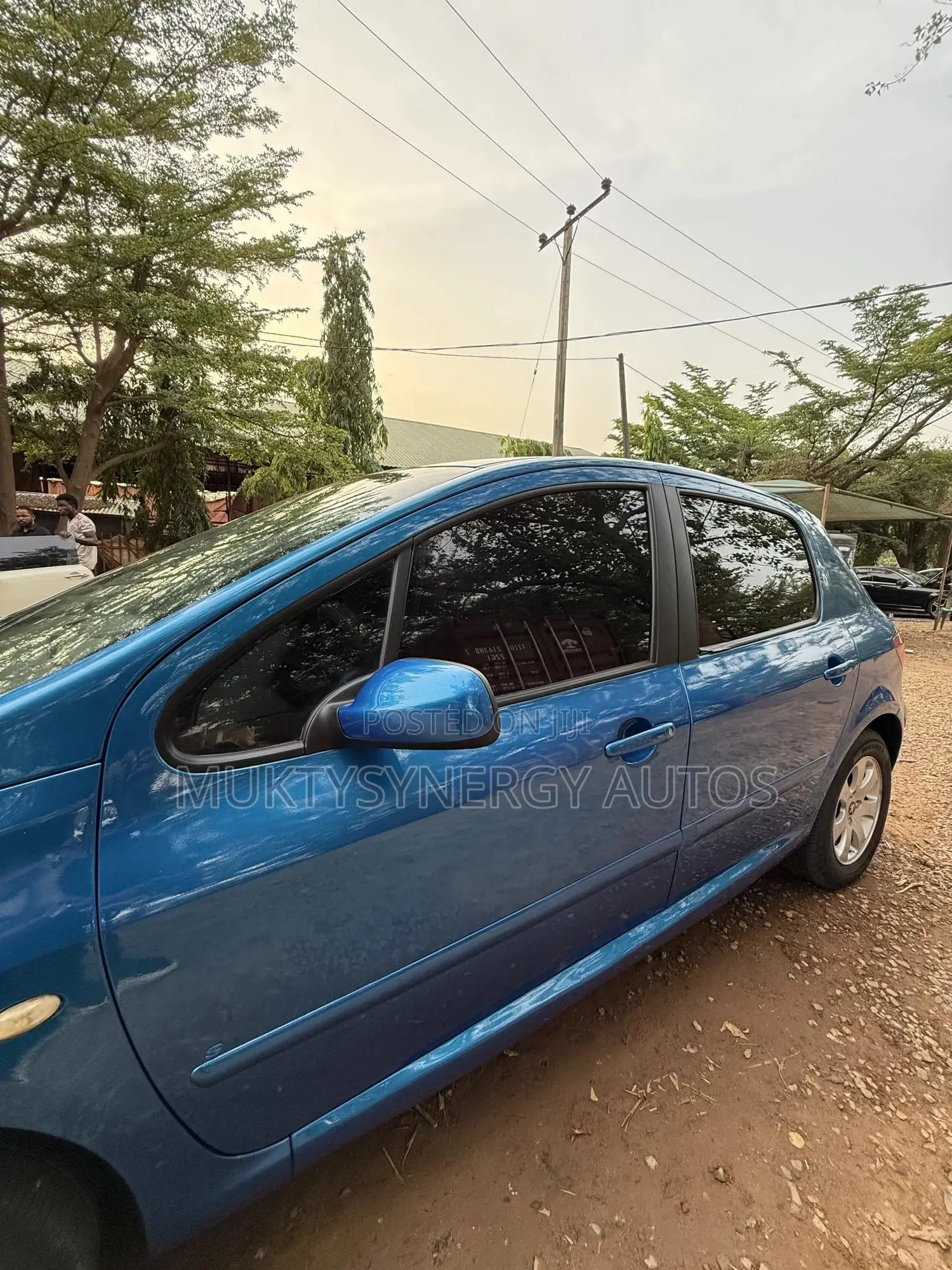 Peugeot 307 2008 Blue