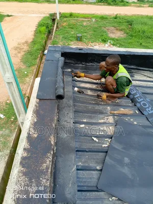 Charismatic Waterproofing Expert