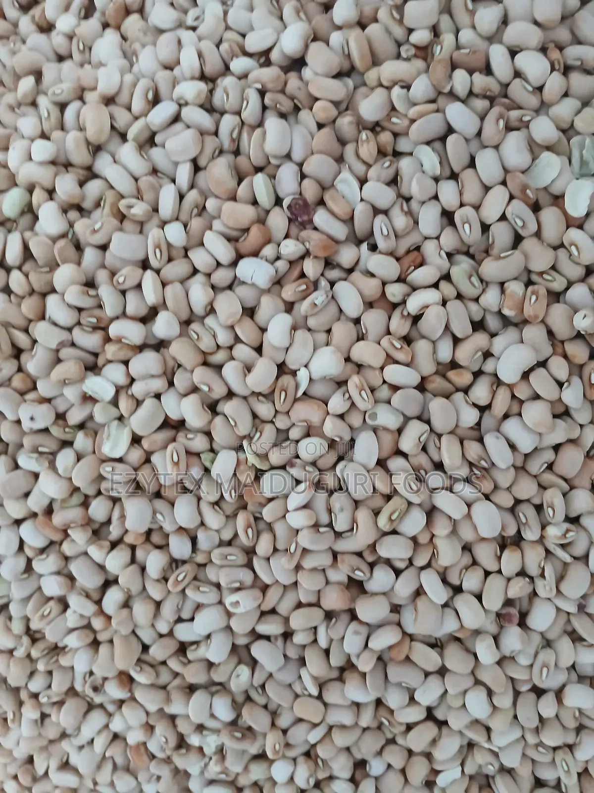 Picked Honey Beans (Another Type)