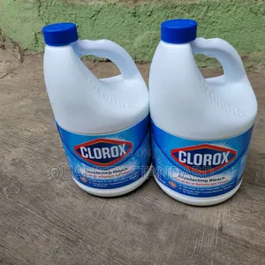 Clorox Disinfecting Bleach