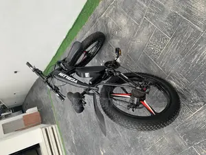 Original Fat Tire Electric Benz Bicycle