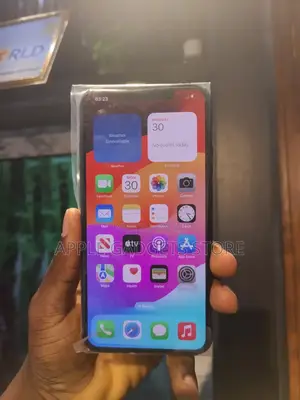 Apple iPhone 11 Pro Max 64 GB