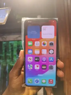Apple iPhone 11 Pro Max 64 GB Gray